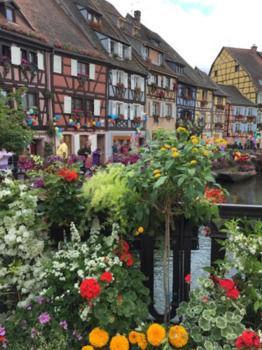 Apartamento De Petite Venise